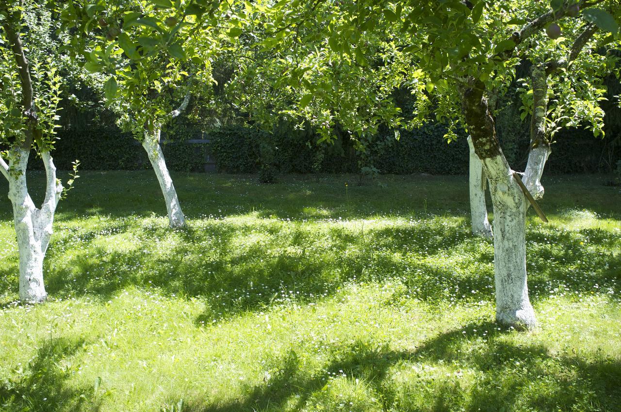 Cottage Du Manoir De Tregaray Sixt-sur-Aff Dış mekan fotoğraf